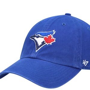 Toronto Blue Jays Hat